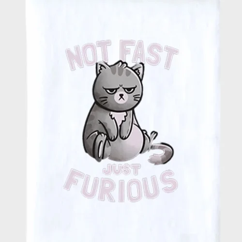 Fast & Furious Cat Blanket #1
