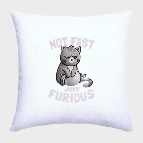 Fast & Furious Cat Pillow #1
