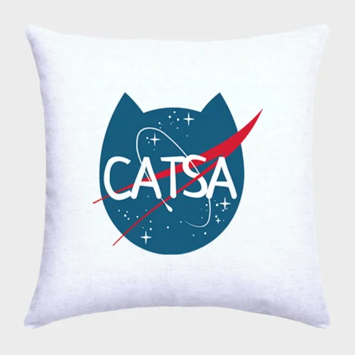NASA Cat Pillow #1