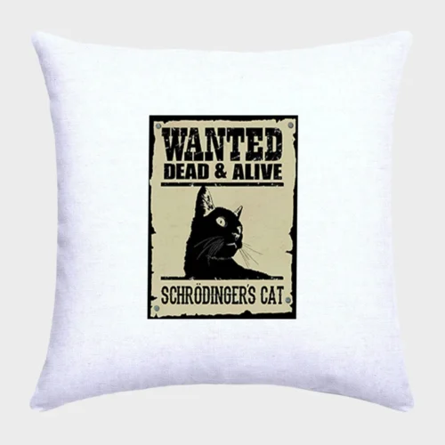 Schrödinger’s Cat Pillow #1